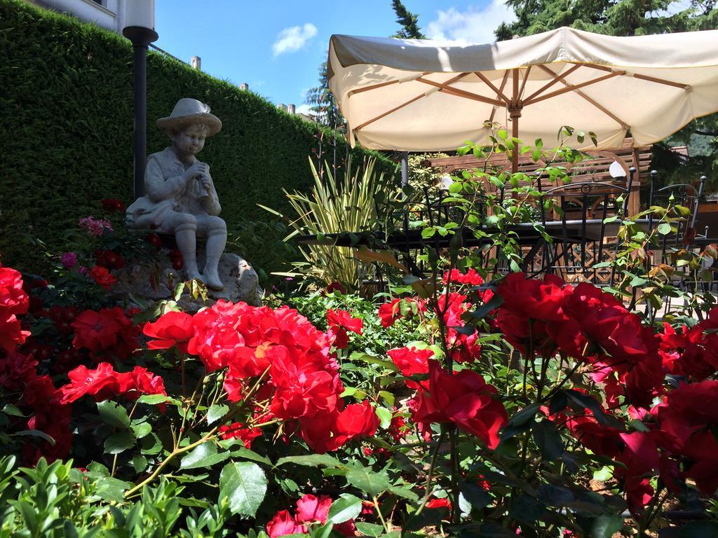 Hotel Parco Delle Rose 산 조반니 로톤도 외부 사진